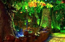 2 Hours Red Sea Wonders Tour at Hurghada Grand Aquarium