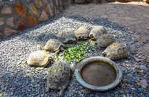 2 Hours Red Sea Wonders Tour at Hurghada Grand Aquarium