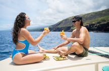 Luxury Kona Coast Snorkel Tour Including Lunch 