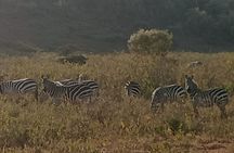 Private Day tour to Hell's Gate National Park and Lake Naivasha 