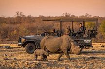  Morning or Afternoon Game Drive In Victoria Falls 