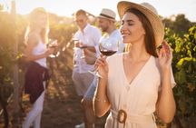 Private Winery Adventure in Rovinj at Stancija Collis