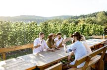 Stancija Collis: A Winery Adventure Tour in Rovinj