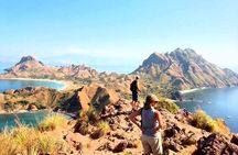 Explore Komodo and Swim with Whale Sharks