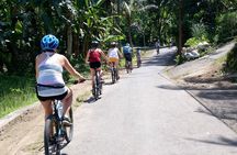 Bali Downhill Natural Cycling Tour & visit Volcano 