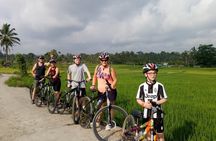Bali Downhill Natural Cycling Tour & visit Volcano 