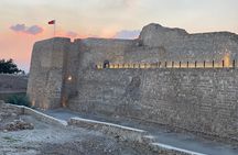Private tour and sightseeing in Bahrain - VIP tour