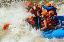 Royal Gorge Half Day Rafting in Cañon City (Free Wetsuit Use)