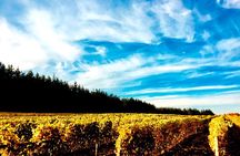 Premium Fraser Valley and White Rock Private Wine Tour
