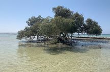 El Qulan Island & Sharm El Luli Half-Day Experience