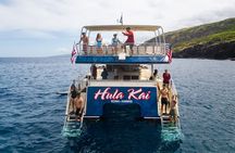 Luxury Kona Coast Snorkel Tour Including Lunch 