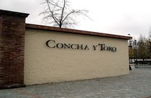 Concha y toro vineyard tour