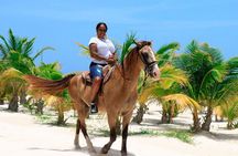 Horseback Riding Tour at Rancho Bonanza and Cenote Swim