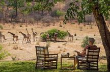  Morning or Afternoon Game Drive In Victoria Falls 