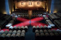 Uco Valley Wine Experience - Private - The Best Wine Tour & Lunch