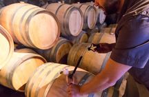 Uco Valley Wine Experience - Private - The Best Wine Tour & Lunch