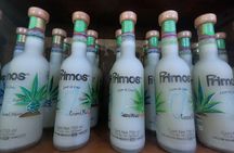 Power Snorkel by Sea Scooter & Flavored Tequila tasting