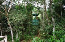 A Day With Nature: Boat Trip on Gatun Lake and The Aerial Tram