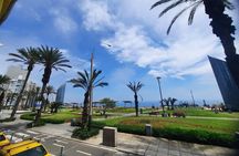 Bus Hop on - Hop off in Miraflores
