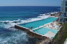 Sydney Combo: Morning Sightseeing to Bondi & Harbour Lunch Cruise