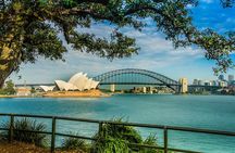 Sydney Combo: Morning Sightseeing to Bondi & Harbour Lunch Cruise
