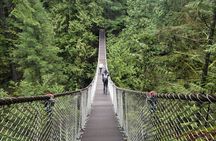 Photography in Rainforest & Suspension Bridge