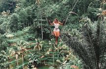 Tlaga Singha Infinity Pool, Jungle swing & Rice Terrace Trip