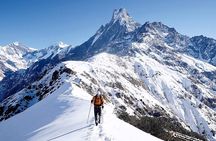 5 Days Glorious Mardi Himal Base Camp Trek from Kathmandu
