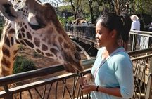 Private Wildlife Care, Art, Music and Culture with @Senyorcjeys 