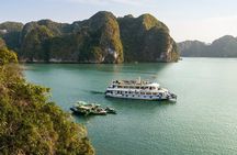 Full-day Activity Ha Long Bay of Vietnam from Ninh Binh
