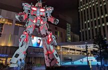 Tokyo Private Car Tour: Professional Guide and Driver/Optional airport xfer