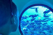 Semi Submarine Sea Trip & Diver Show With transfer - Marsa Alam