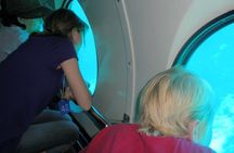 Semi Submarine Sea Trip & Diver Show With transfer - Marsa Alam