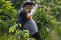 Discover Son Tra Peninsula (Monkey Mountain) with Moto Trip