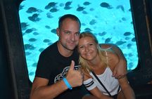 Semi Submarine Tour 2 Hours With Transfer - Sharm El Sheikh 