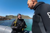 Unique Scuba Diving Experience
