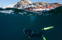 Unique Scuba Diving Experience