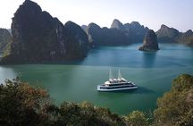 DELUXE Halong Bay Day Tour From Hanoi, Daily Operated 2024 - 2025