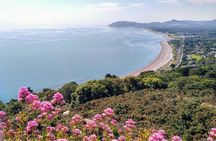 Top-Rated Walking Tour of Scenic Coastal Dublin (Dun Laoghaire)