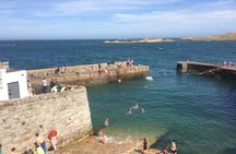 Top-Rated Walking Tour of Scenic Coastal Dublin (Dun Laoghaire)