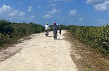 Private E-Bike Adventure in the Cayman Islands