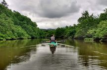 Kayaking to the Islands & mangroves in Paraty