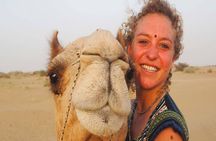 Super Safari Quad Bike, Jeep, Bedouin, Dinner & Show - Marsa Alam