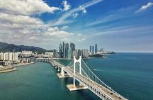 Busan Day Trip from Seoul by KTX - Private Tour with Local Guide