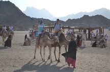 Discover the Best of Sharm : Quad, Camel, Dinner and Shows