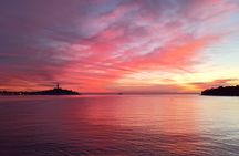 Dolphin Watching Sunset Speedboat Tour with Drinks in Rovinj