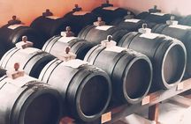 Private Balsamic vinegar & Parmigiano Reggiano factory visits