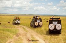 Masai Mara 3 Days Tour Safari Private 4WD Landcruiser 