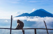 Private Mount Batur Sunrise Trekking Tour