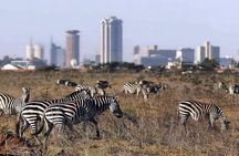 Half Day Nairobi National park